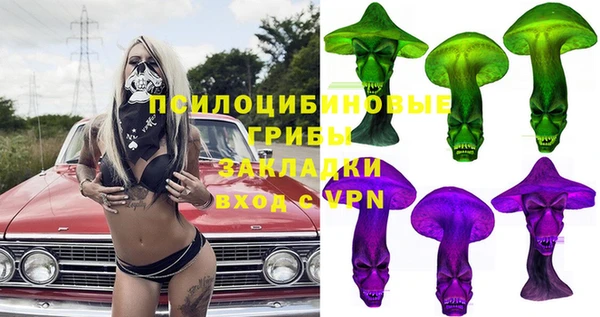 молекула духа Богородск