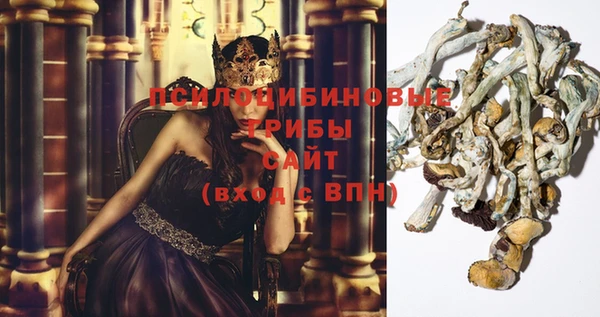 кокаин перу Богданович
