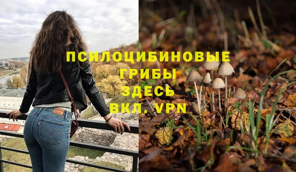 молекула духа Богородск